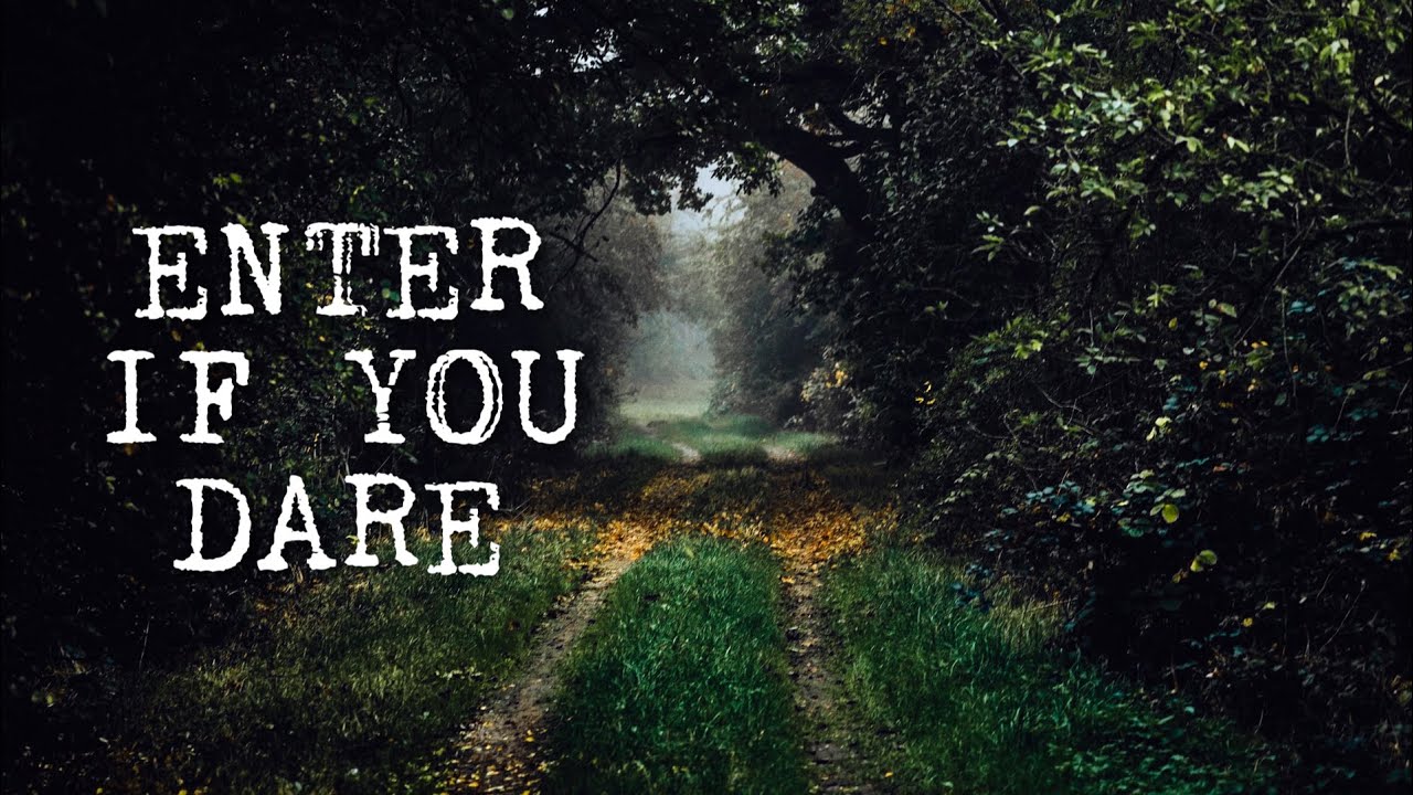 Enchanted Woods - Four Encounters with Fairies in Enchanted Forests