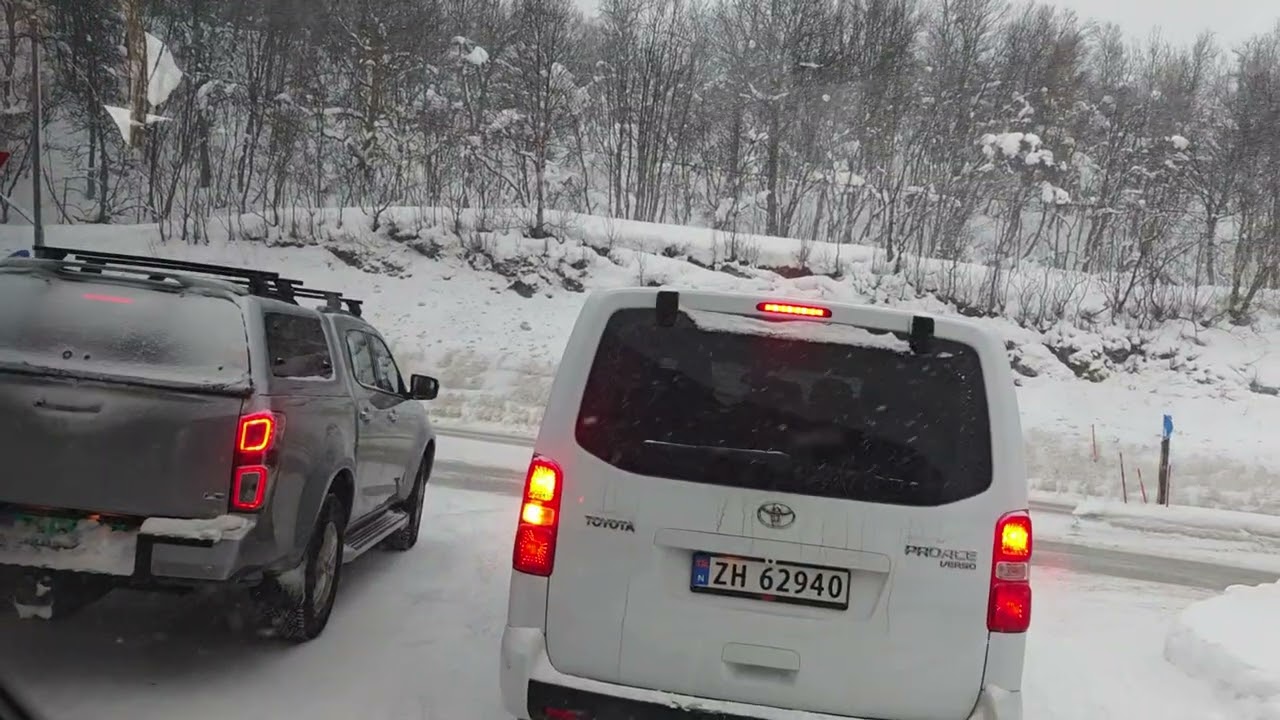 ❄️🛺🌲 #norway #busride #trip #tromsø #snowfall #snowcovered 