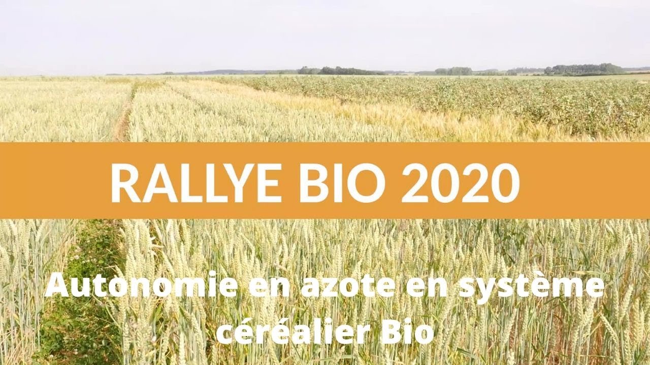 Autonomie en azote en système céréalier Bio