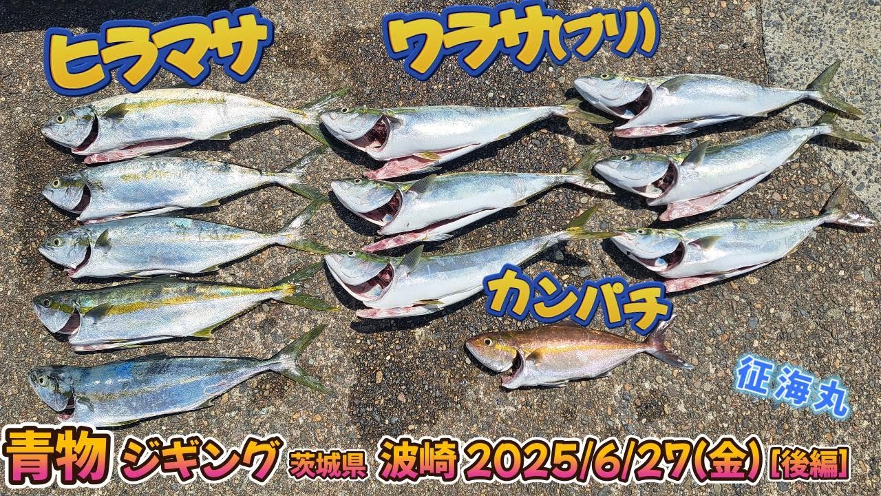 茨城県波崎 青物ジギング 2025/6/27(金)[後編] ヒラマサ・カンパチ・ワラサ(ブリ) GET! 2025年 初夏 青物御三家 好調!!  @征海丸