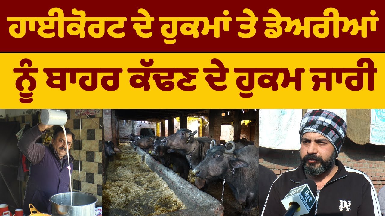 ਅੰਮ੍ਰਿਤਸਰ ਸ਼ਹਿਰ ਤੋਂ ਬਾਹਰ ਕੱਢੀਆਂ ਜਾਣਗੀਆਂ 300 ਤੋਂ ਵੱਧ ਦੁੱਧ ਦੀਆਂ ਡੇਅਰੀਆਂ