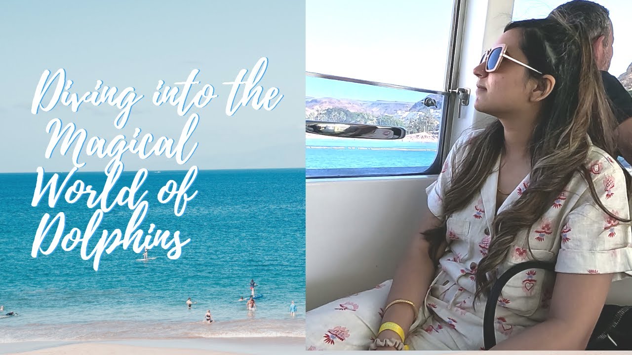 🐬 Diving into the Magical World of Dolphins! 🌊 Unforgettable Boat Safari Adventure!