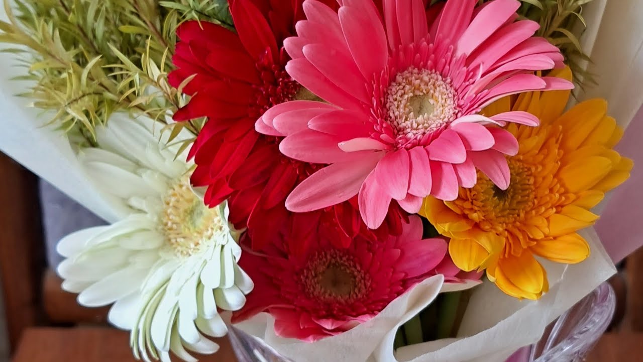 Rinar Rokomari is live. good afternoon