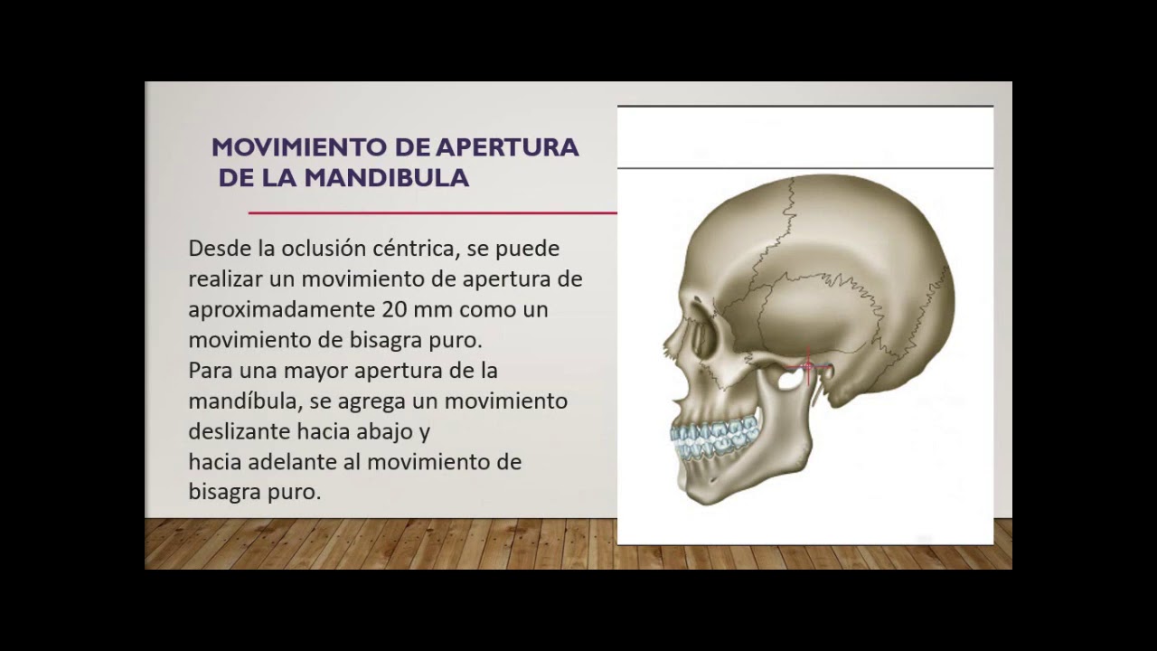 CINEMATICA MANDIBULAR