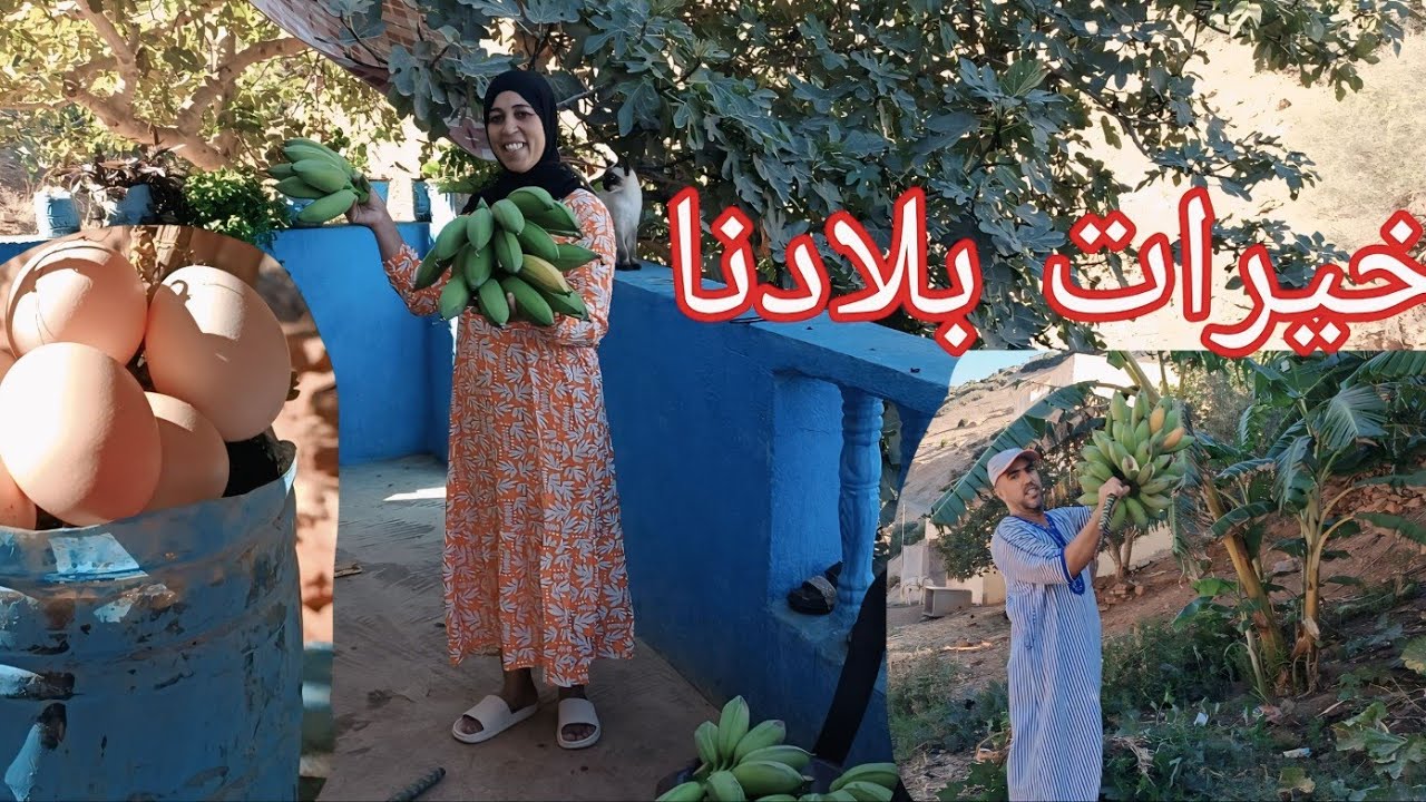 مزرعة صغيرة مليئة بالخيرات بيجوار البيت ☝️(موسم جاني البنان بقريتنا) 🍌🍌