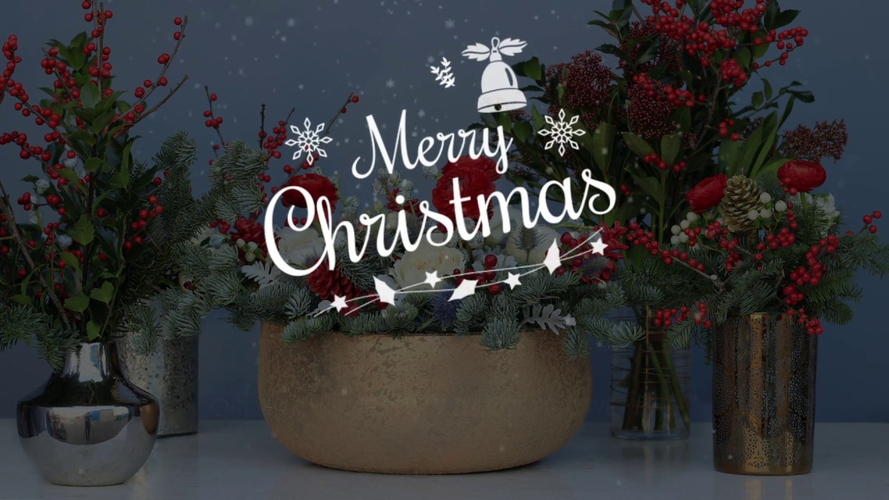 Christmas Flower Collection | Dubai Flower Shop - Darcey Flowers