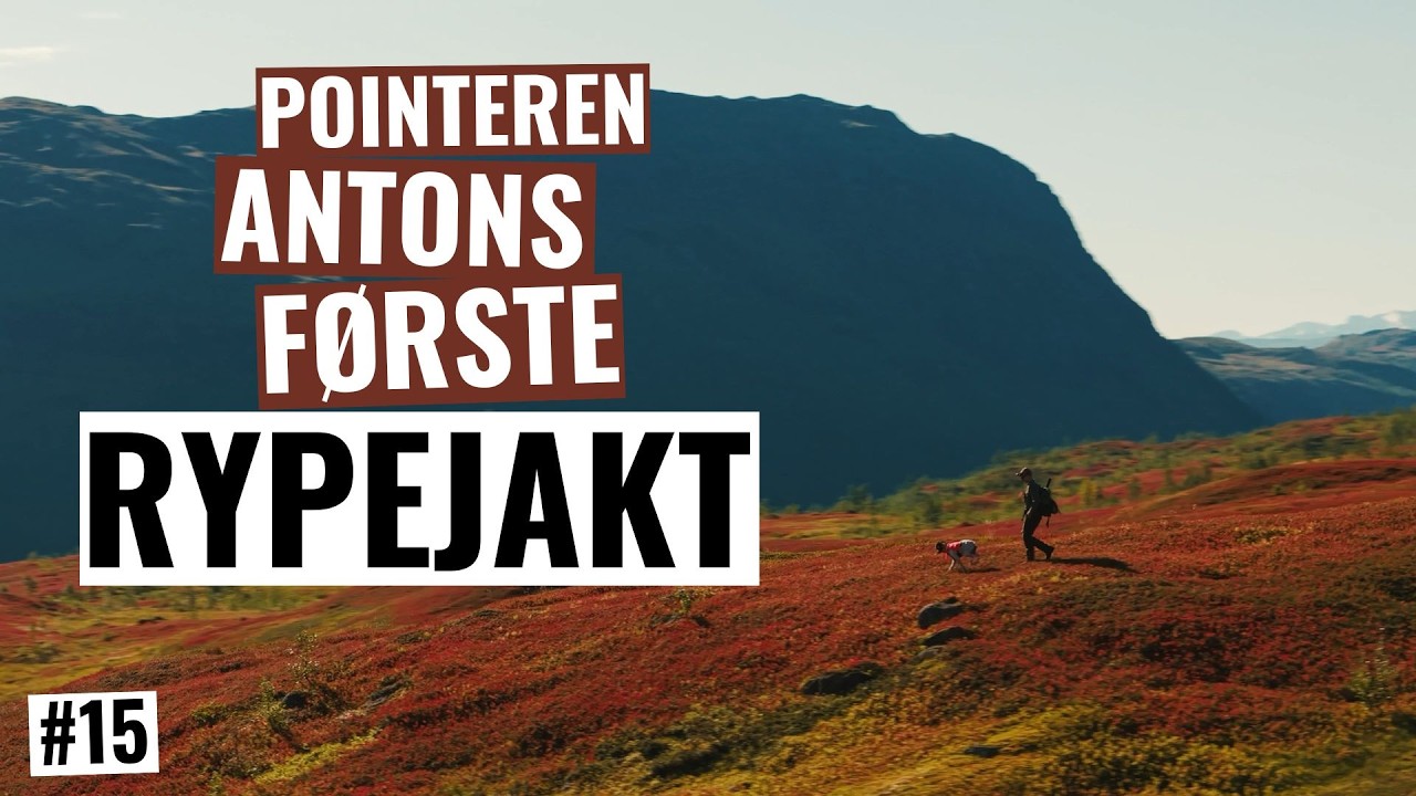 Jaktstart på rype - hyttetur i Nord-Norge (#15)