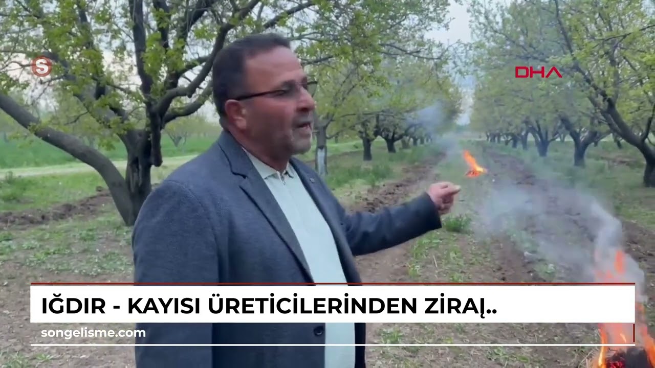 Iğdır - Kayısı üreticilerinden zirai dona karşı 'bahçede ateş' önlemi