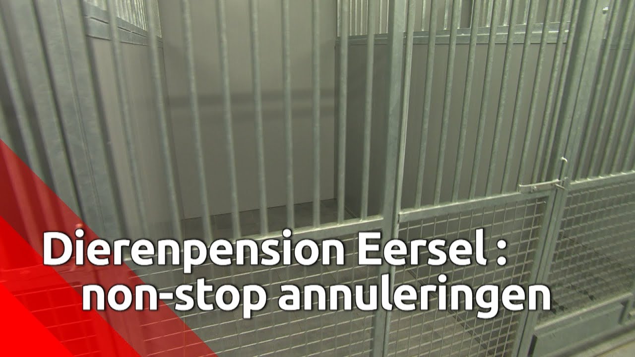 Dierenpension Eersel krijgt non-stop annuleringen