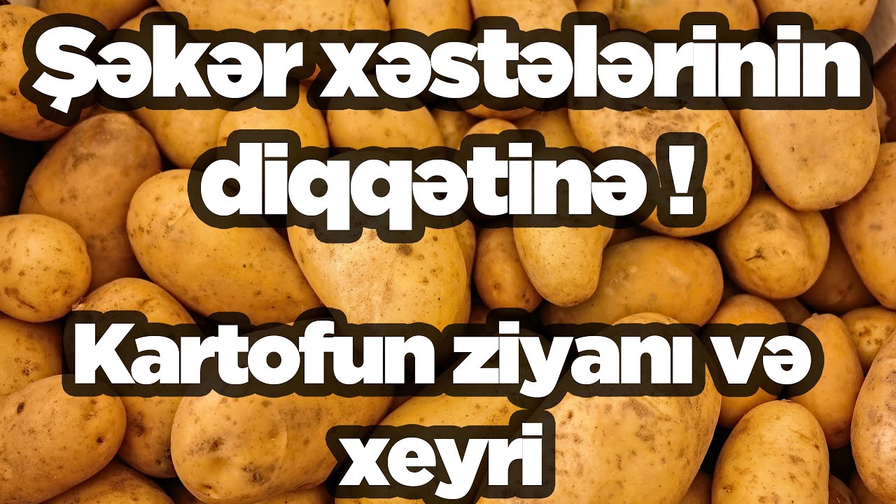 Şəkər xəstələrinin diqqətinə ! | Kartofun ziyanı və xeyri | Gədəbəy