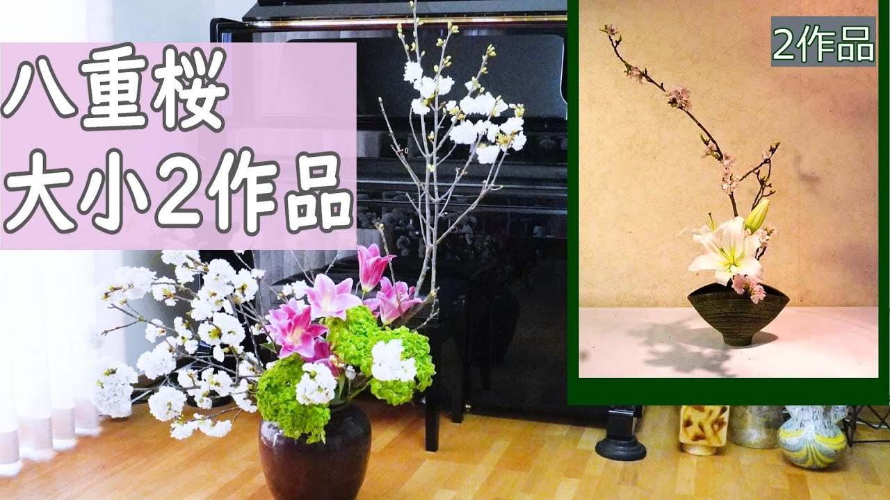 【八重桜・大・小２作品・生け花】_大きな壺にいける(English sub)_Double cherry blossom_Sogetsu Ikebana