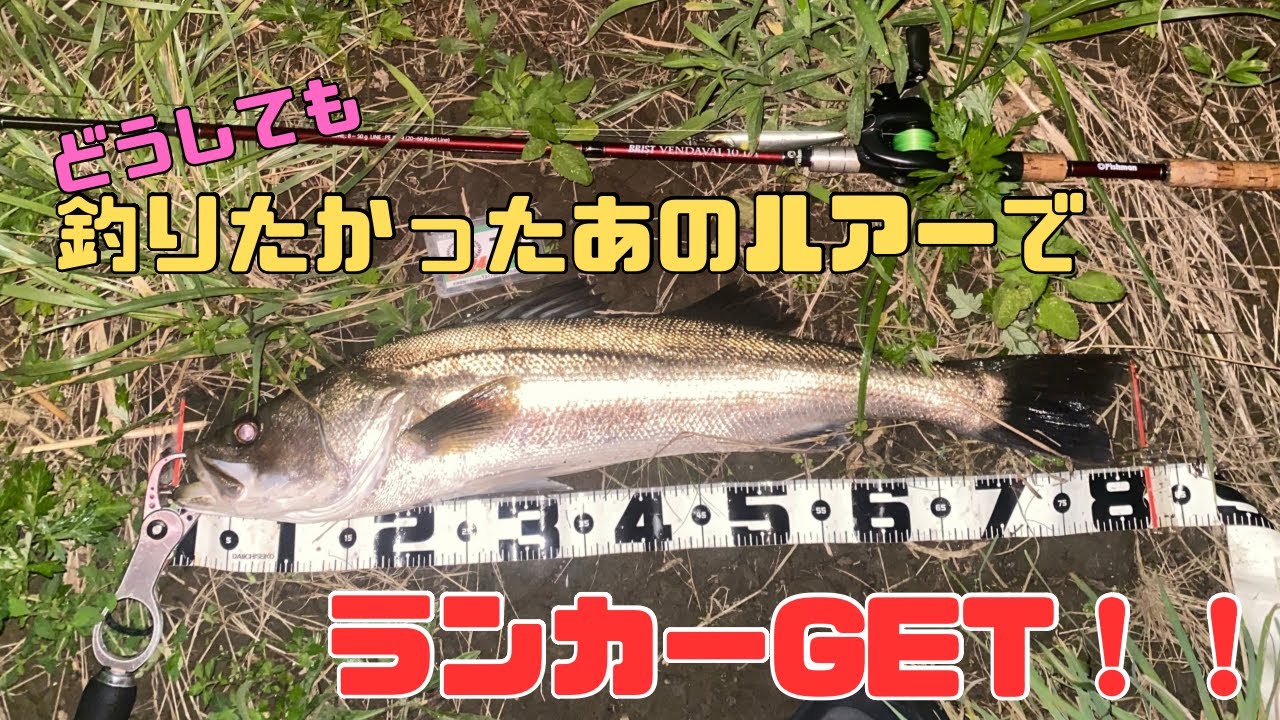 どうしても釣りたかったあのルアーでランカーGET！！