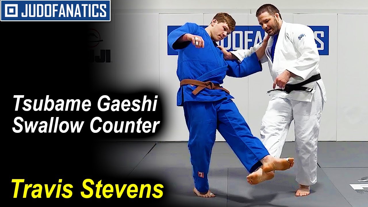 Concept of Tsubame Gaeshi Swallow Counter by Travis Stevens