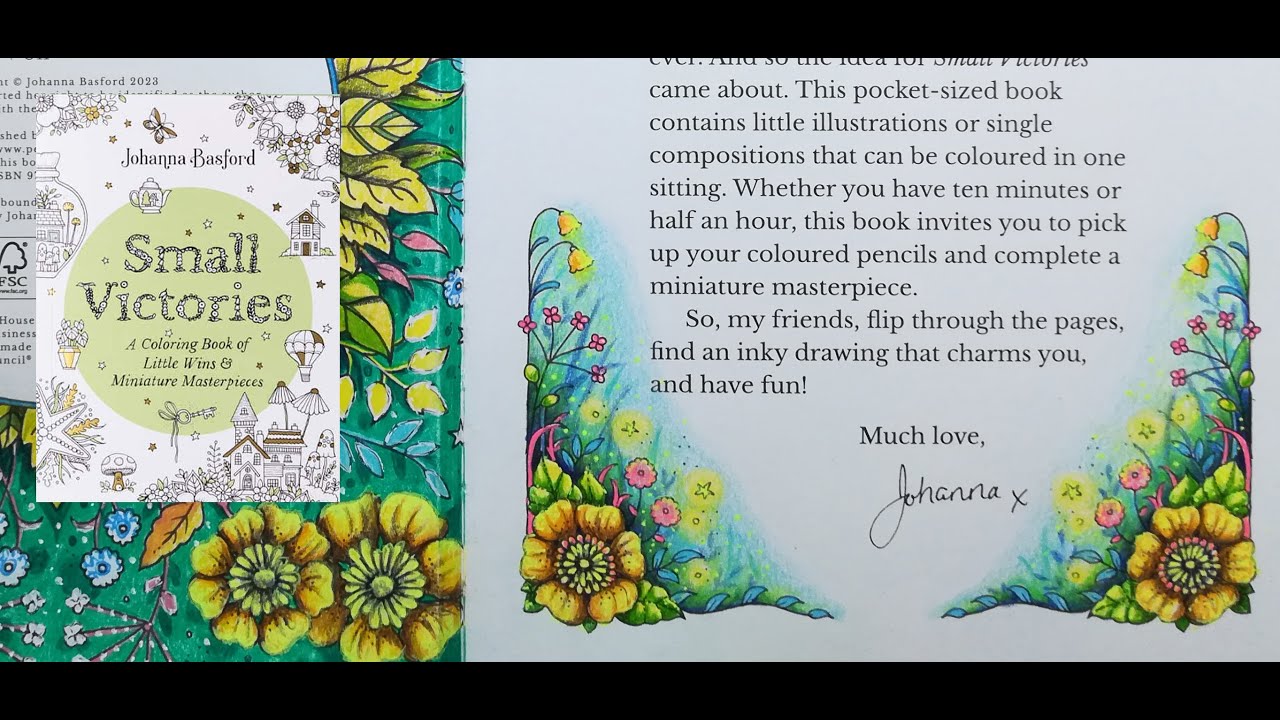 Johanna Basford Small Victories - color along 1- Color Fables