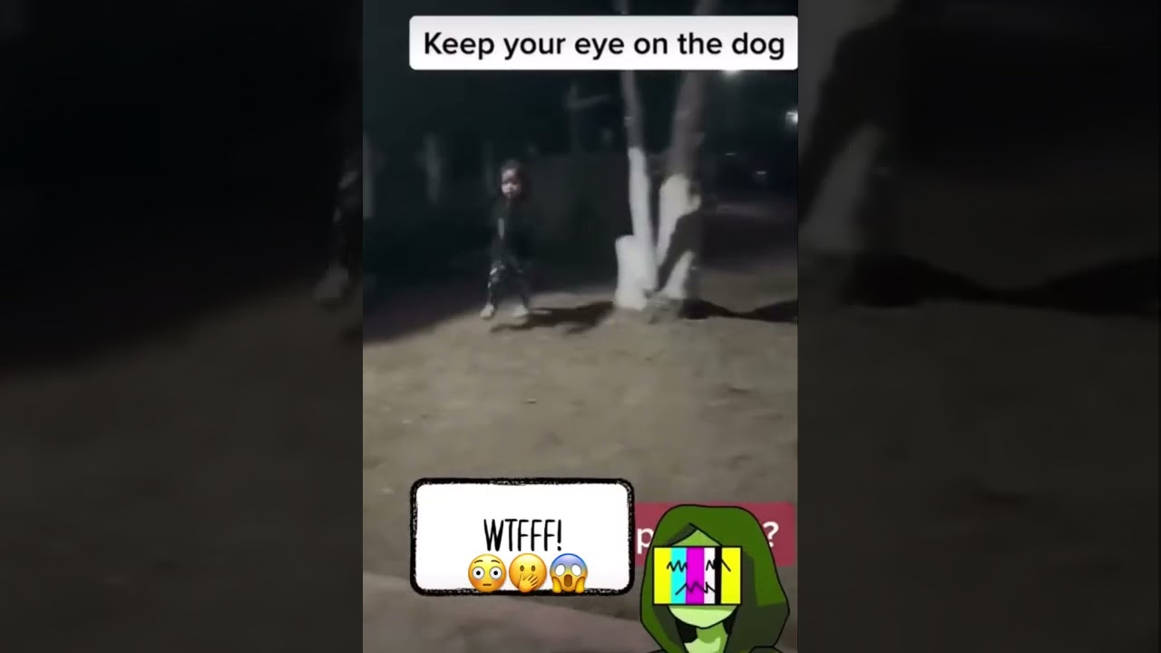 Caught On Camera&hellip;Omg That&rsquo;s A Paranormal Ghost Dog‼️ 🤭😱😳