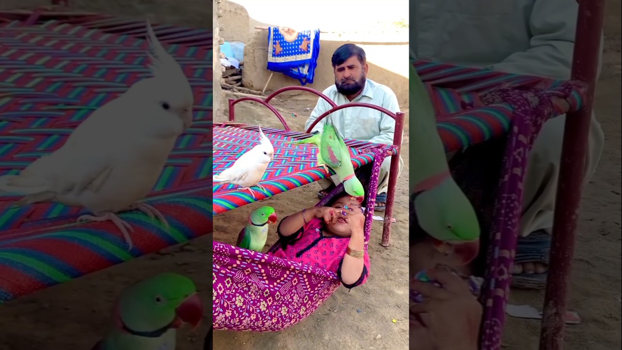 “Innocent Child Sleeping with Loving Parrots 🦜❤️ | Pure Village Love”