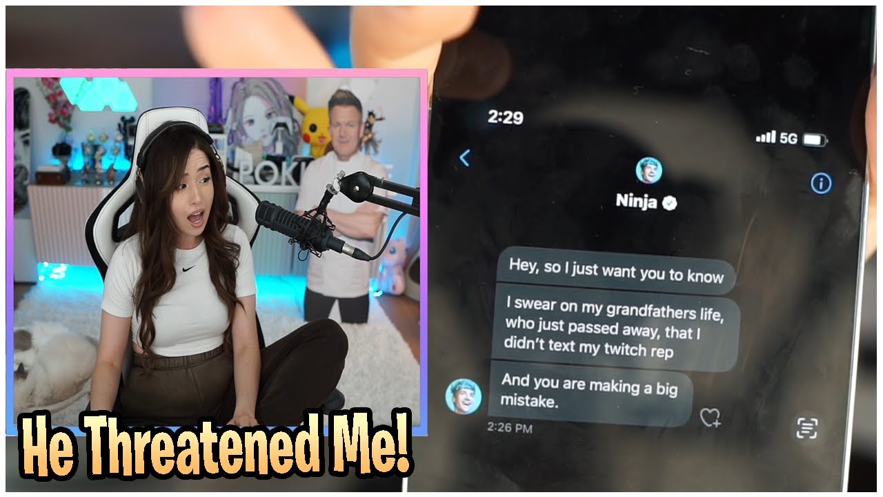 Pokimane Puts Ninja On Blast & Exposes Screenshots After The Incident With Jidion!