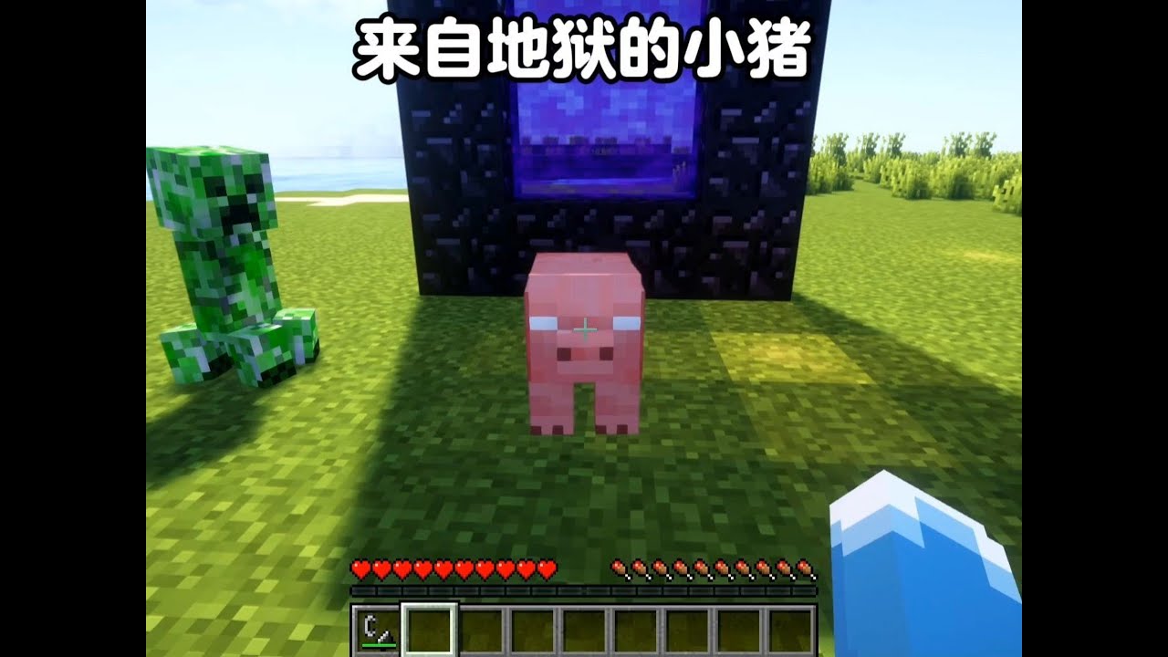 我的世界：来自地狱的小猪