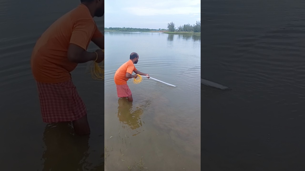 Amazing Hand Fishing video | Traditional Cast Net #Fishing #vairalshort
