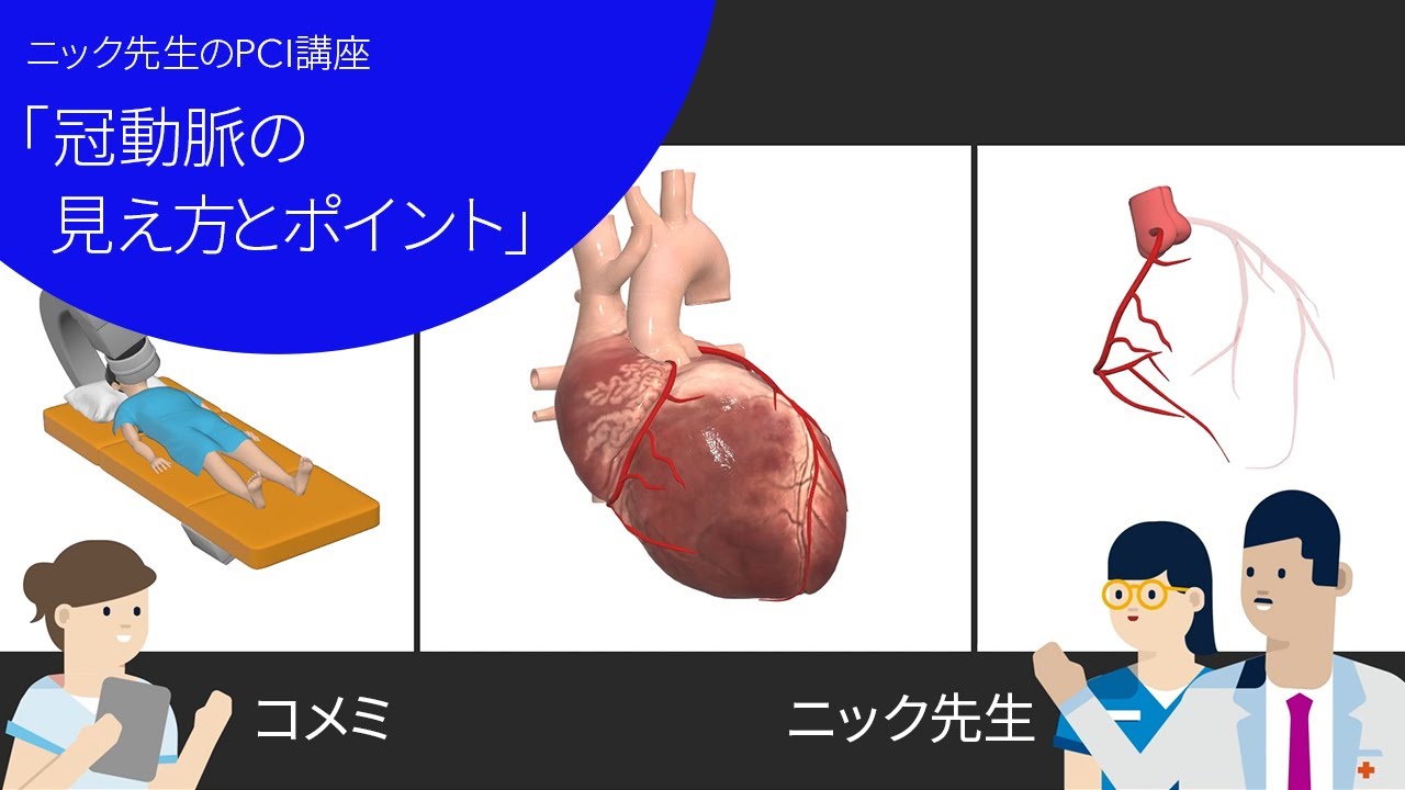 ニック先生のPCI講座「冠動脈の見え方とポイント」編