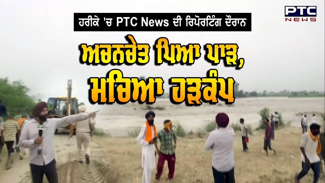 Harike : PTC News ਦੀ Reporting ਦੌਰਾਨ ਅਚਨਚੇਤ ਪਿਆ ਪਾੜ | Punjab Floods News