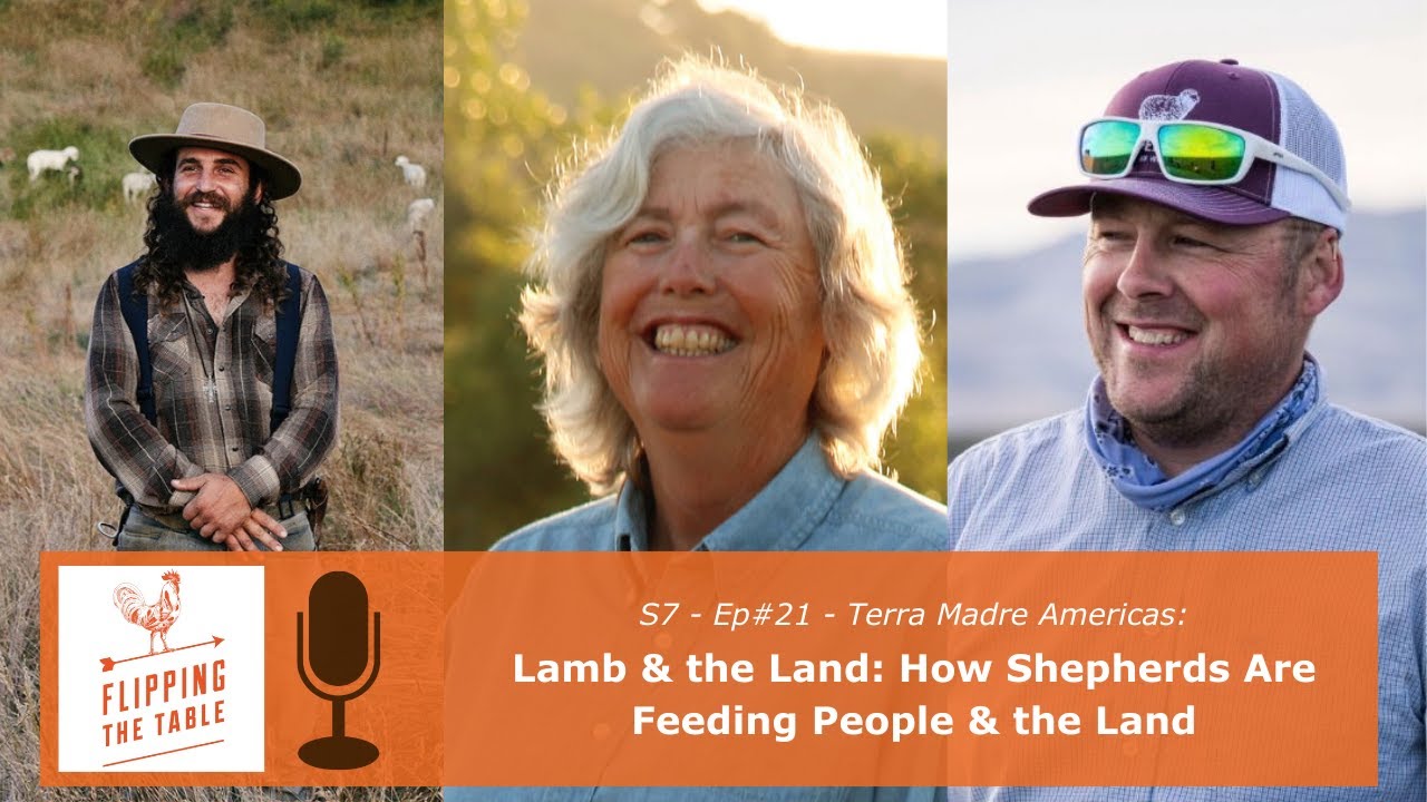 S7 - Ep#21 - Terra Madre Americas: Segment 8: Lamb & the Land: How Shepherds Are Feeding People &...