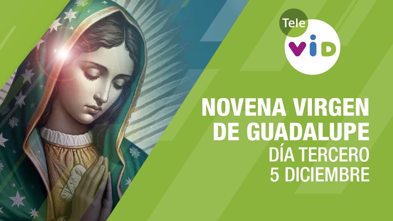 Novena a la Virgen de Guadalupe Día 3 📿🙏 5 Diciembre #TeleVID #VirgenDeGuadalupe