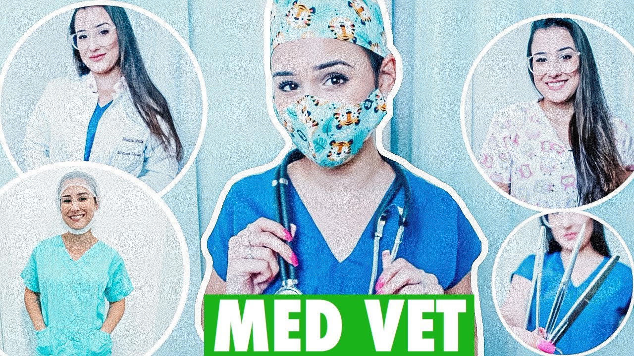 TODOS os meus MATERIAIS da faculdade de MEDICINA VETERINÁRIA