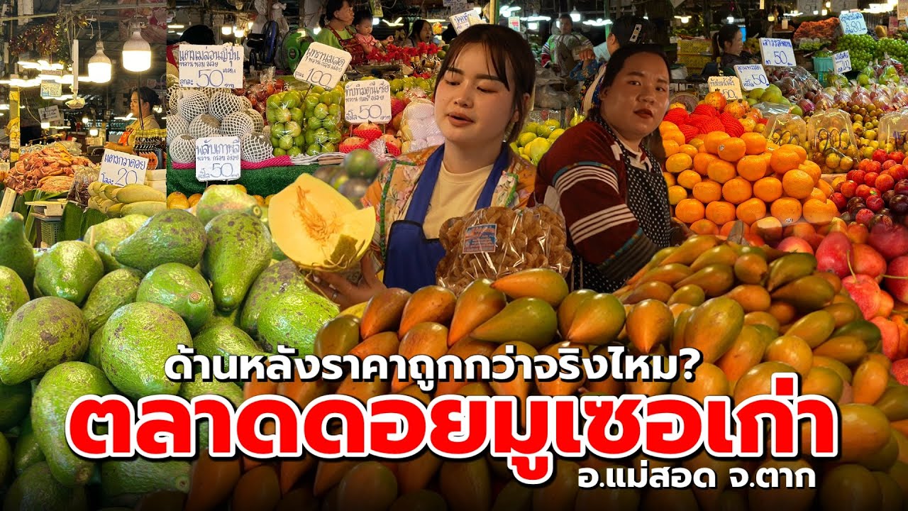 ตลาดดอยมูเซอเก่า ด้านหลังถูกกว่าด้านหน้าจริงไหม⁉️ | ตลาดดอยมูเซอเก่า อ.แม่สอด จ.ตาก
