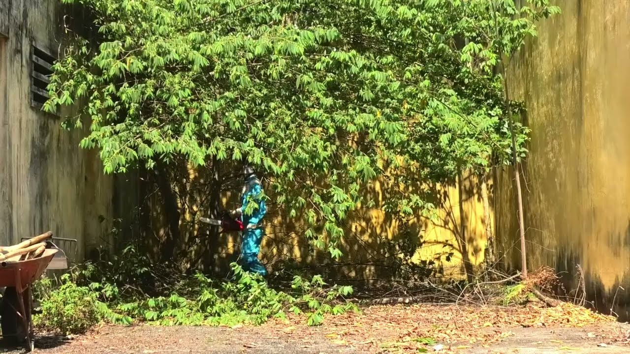 Horrifying Encounter: We Were In Danger of a Giant Python Attack While Cleaning | Clean Up
