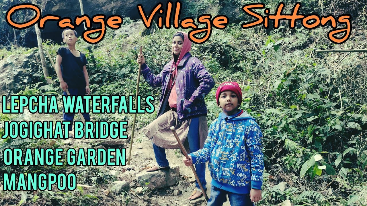 Orange village sittong | Lepcha Falls | Jogighat bridge | Mungpoo Rabindra Bhavan | Rail Restaurant
