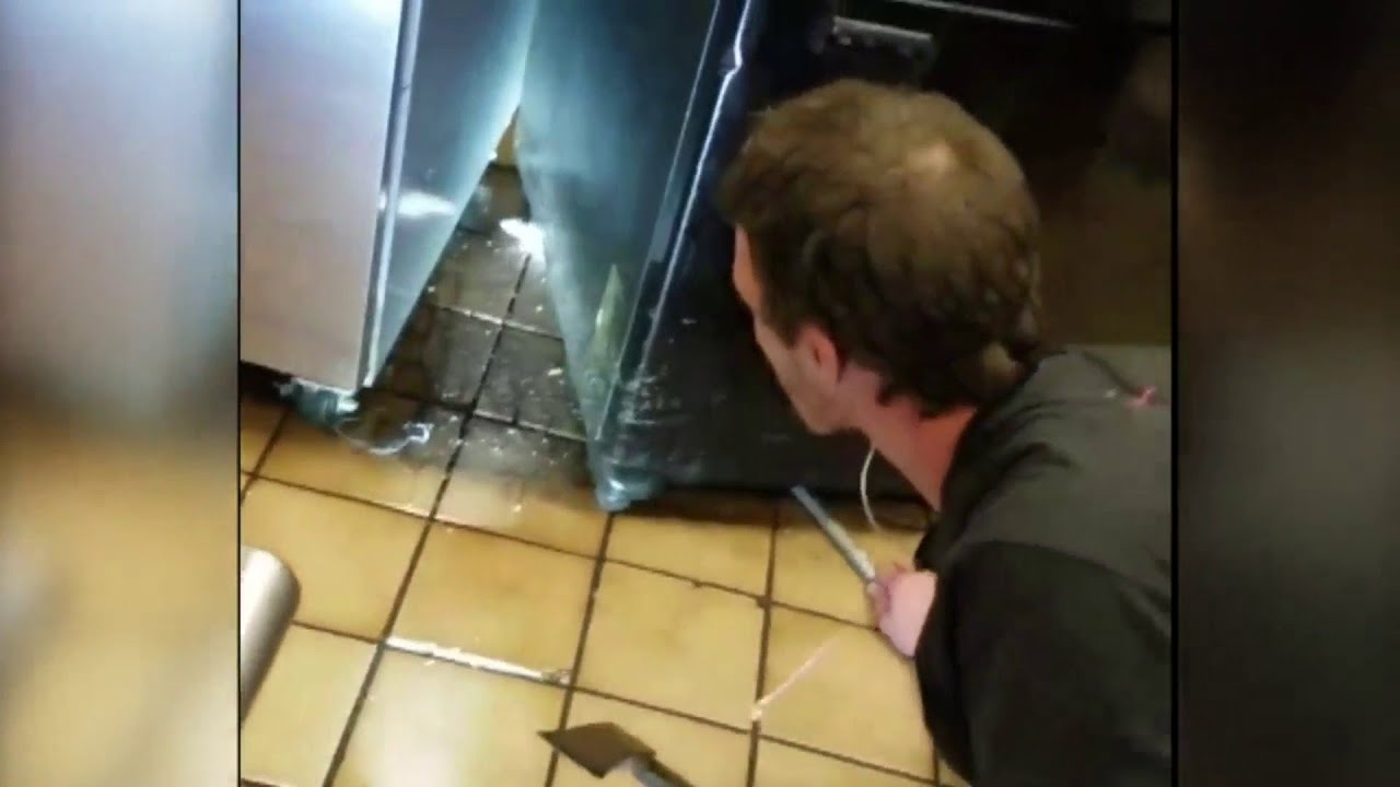 Graphic video shows rats of Dixie Pig Bar-B-Q in Oakland Park