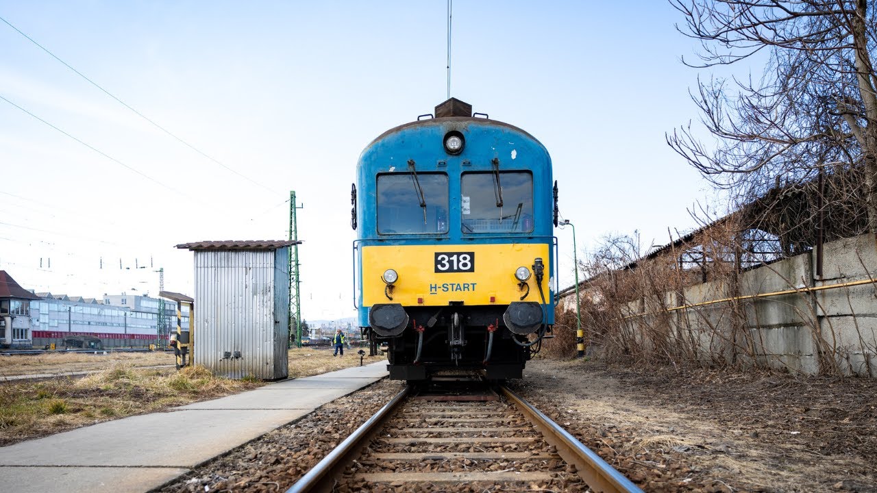 Gyűjteményünk megújul - BDt 318