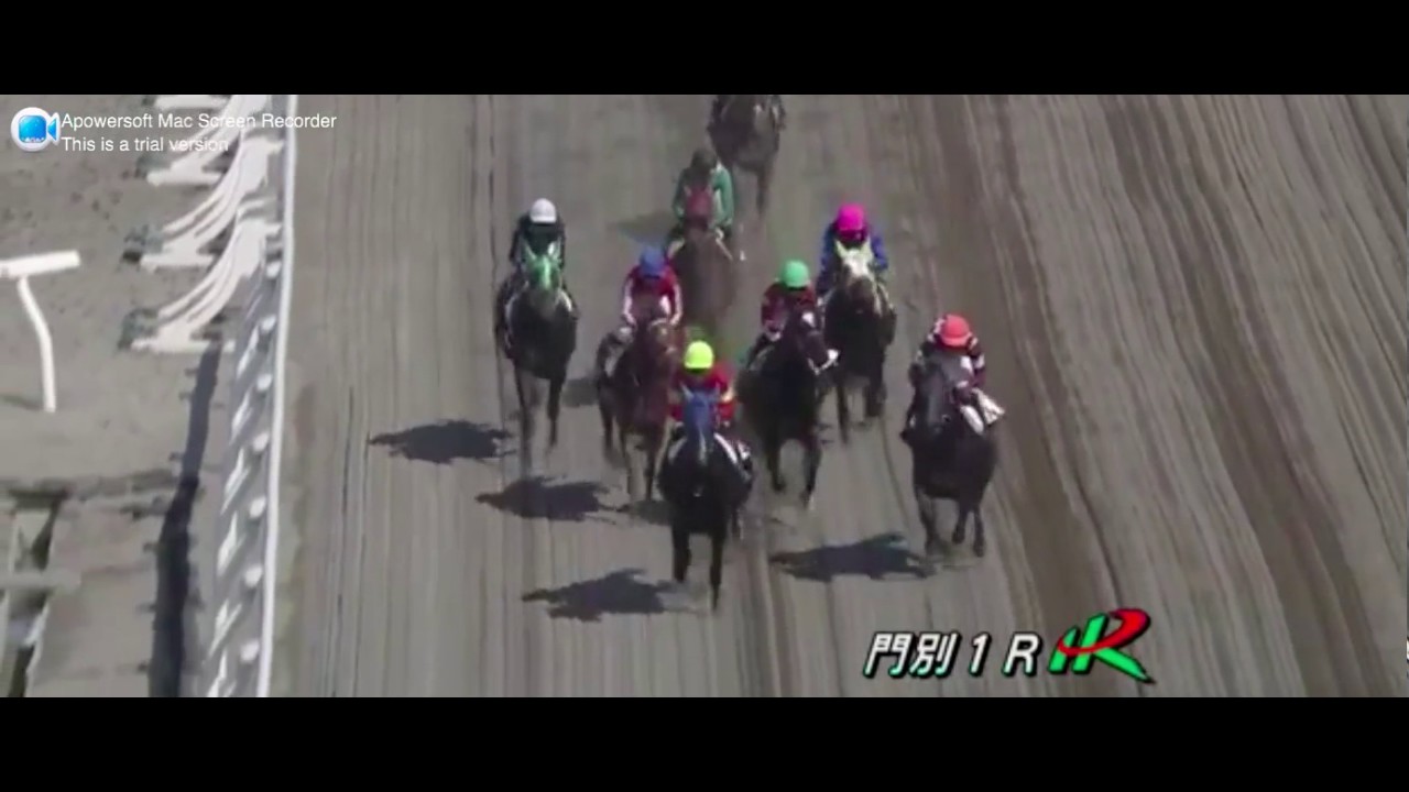 RINNO STONE (Smart Robin - Sammaru Fair by Admire Don)