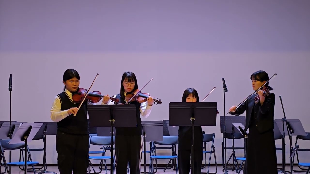 바이올린 / A Whole  New World  ( 알라딘  ost )