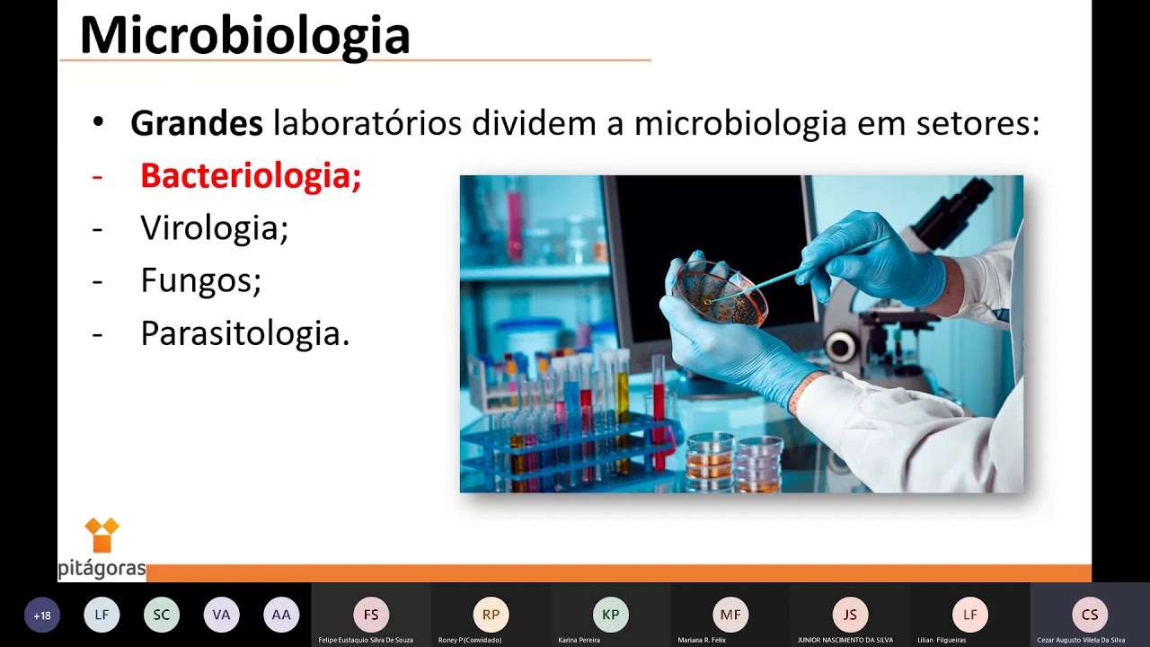 Bacteriologia Cl&iacute;nica - Aula 01