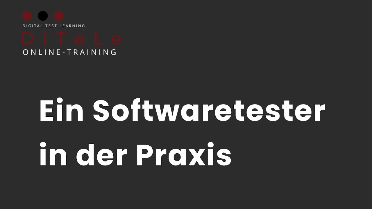 Ein Softwaretester in der Praxis