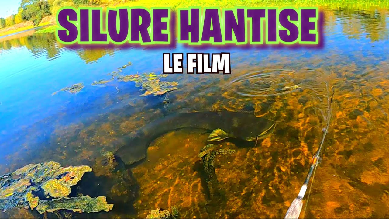 Silure Hantise : Le film (2K)