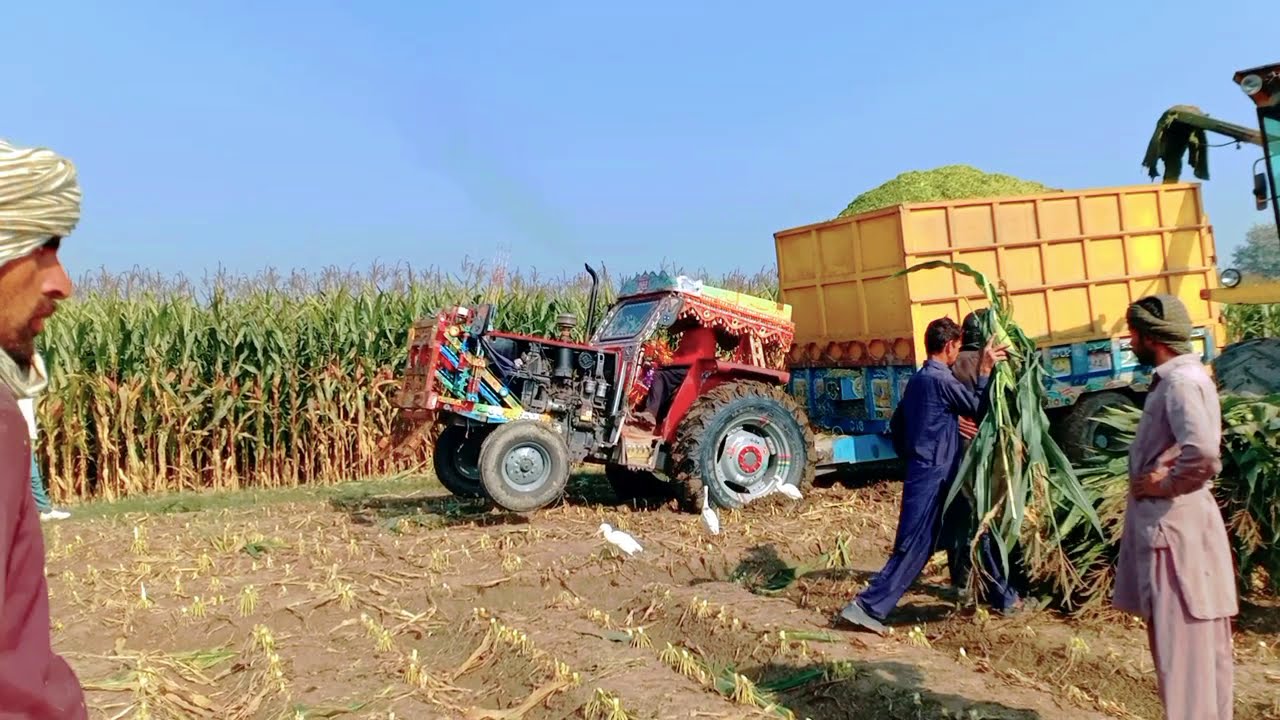 Massey ferguson 375 Tractor challenge ki trali full load trali