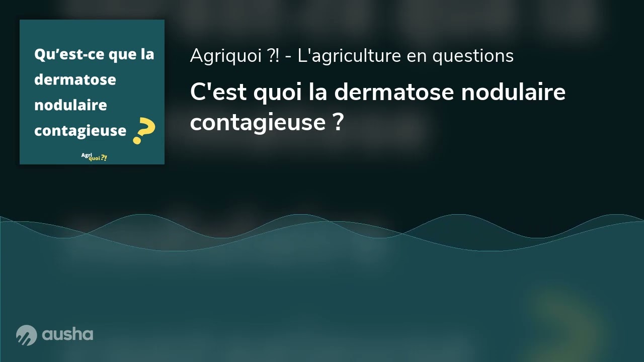 C'est quoi la dermatose nodulaire contagieuse ?