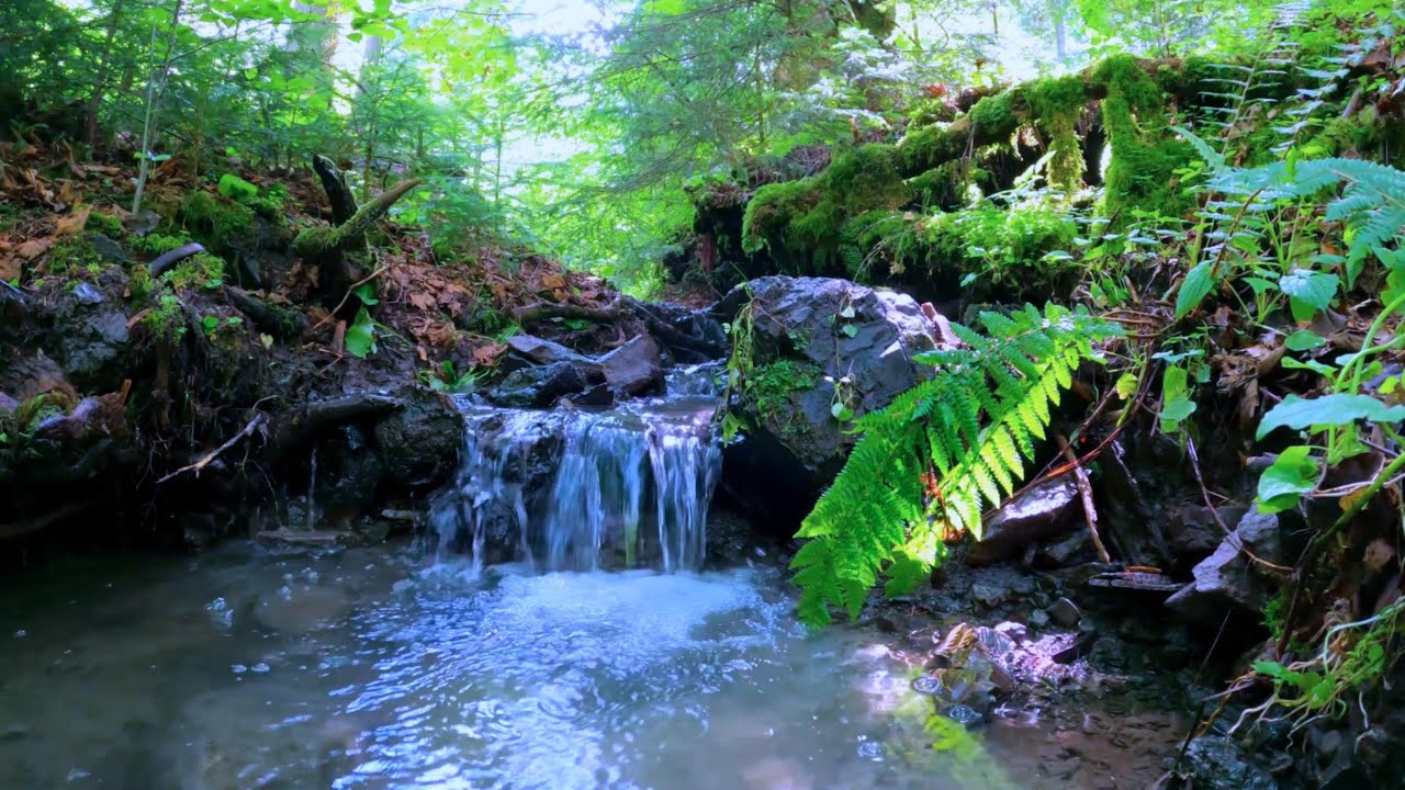 Relaxing Stream (30 Minutes)