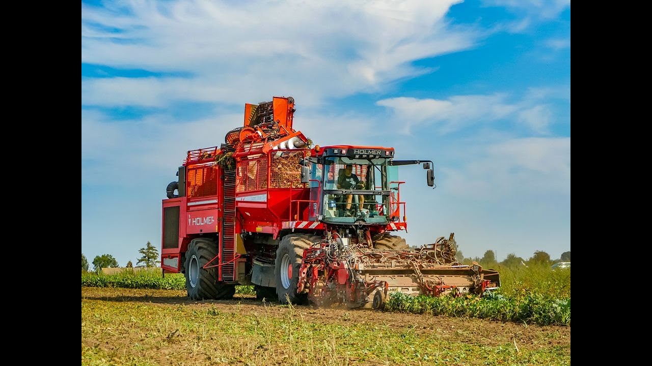 Kopanie Buraków 2019 z Firmą BAJ  ☆ HOLMER T3 Plus ☆ John Deere 7920 ☆ LUBELSKIE ☆