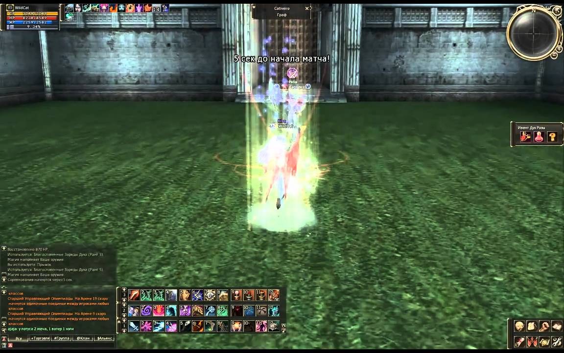 Lineage 2 Cadmus WildCat  SoulBreaker 85 [ olymp ]