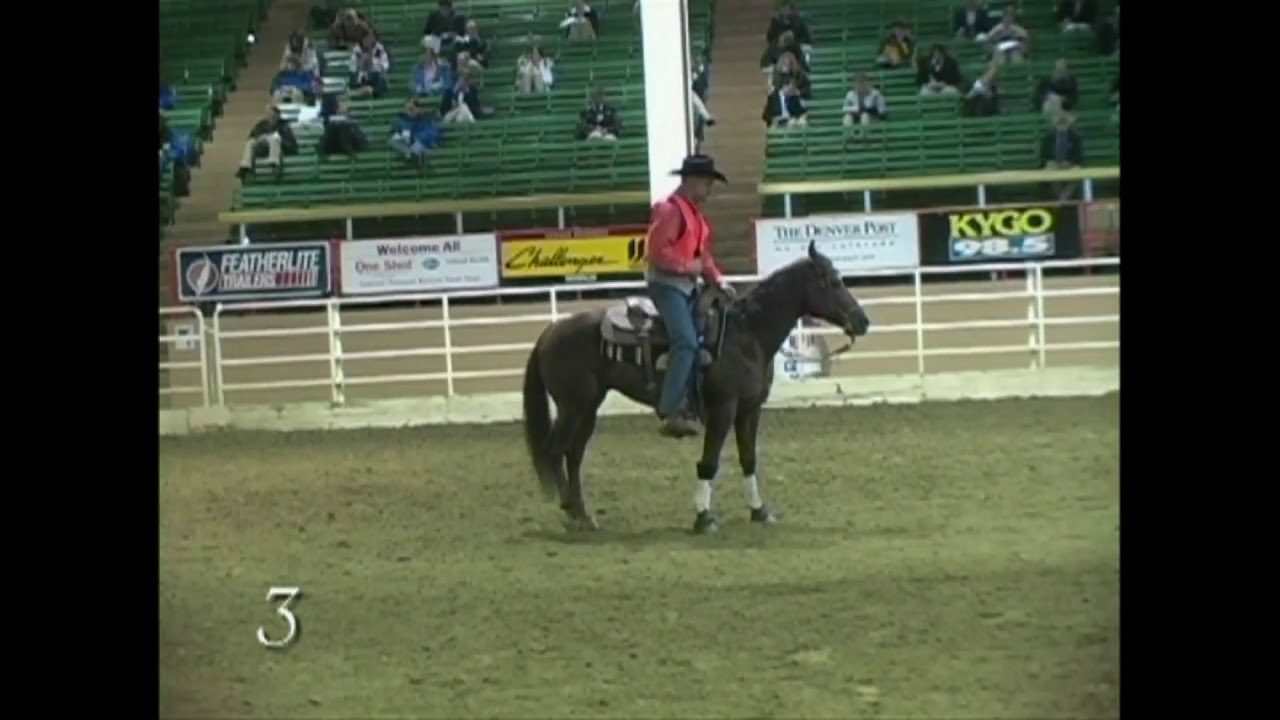 2 Horses
