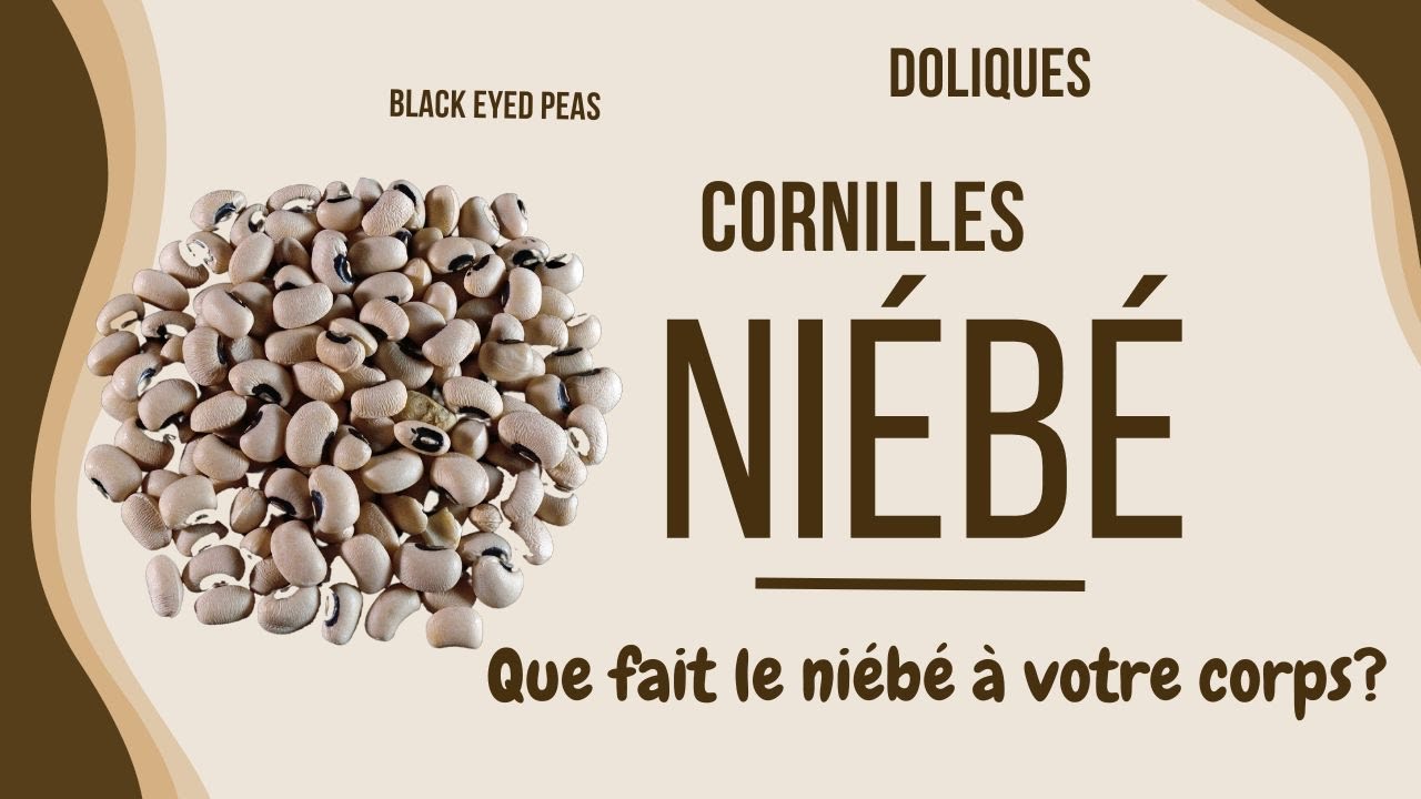 Le Niébé, un SUPER ALIMENT et un haricot pas comme les autres.