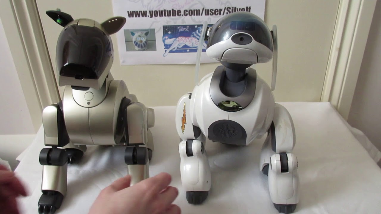 Sony Aibo ERS-210 and ERS-7M3 Visual Comparison