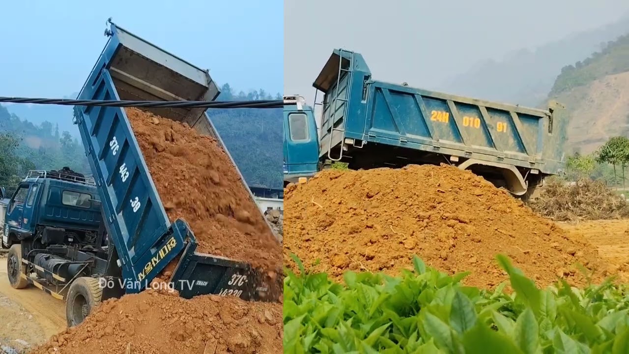 Máy xúc doosan 55w ô tô ben kia
