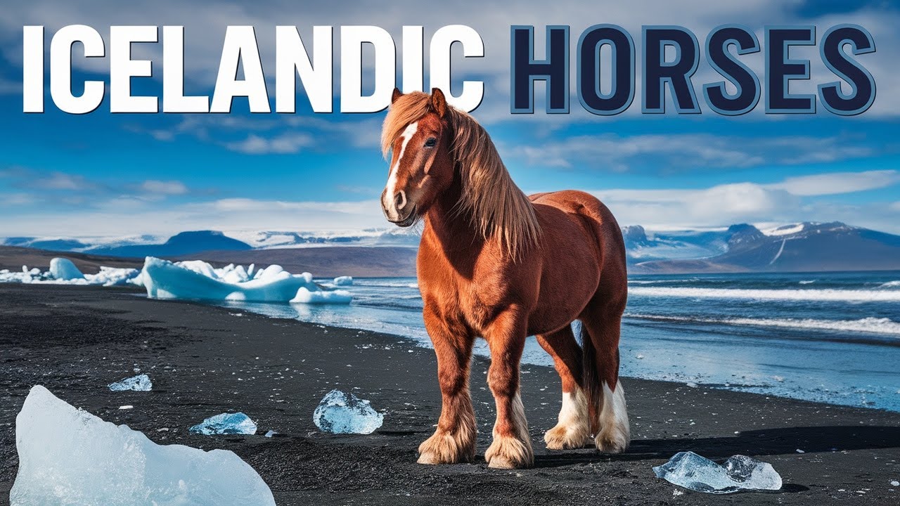 Explore the Most Amazing Horse Breeds on Earth | Stunning 4K Footage