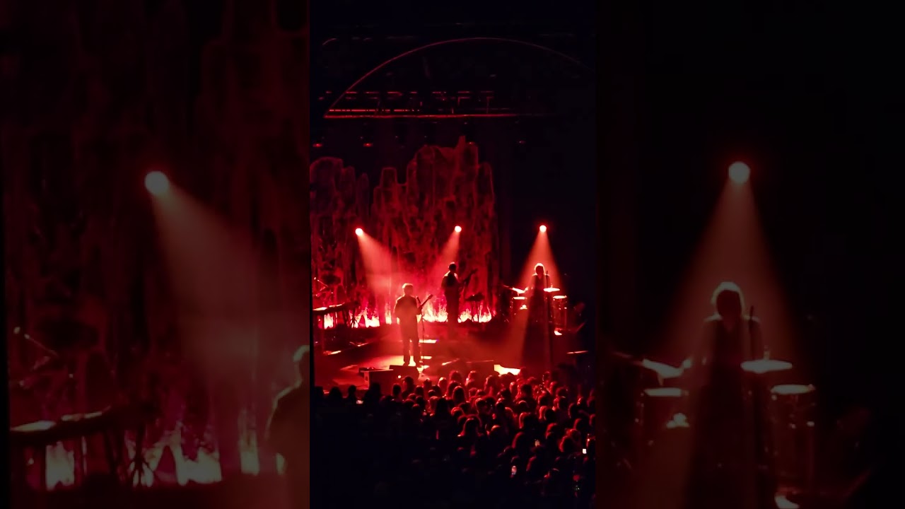 Willow by Tamino - live from tour Every Dawn's a Mountain London 2025