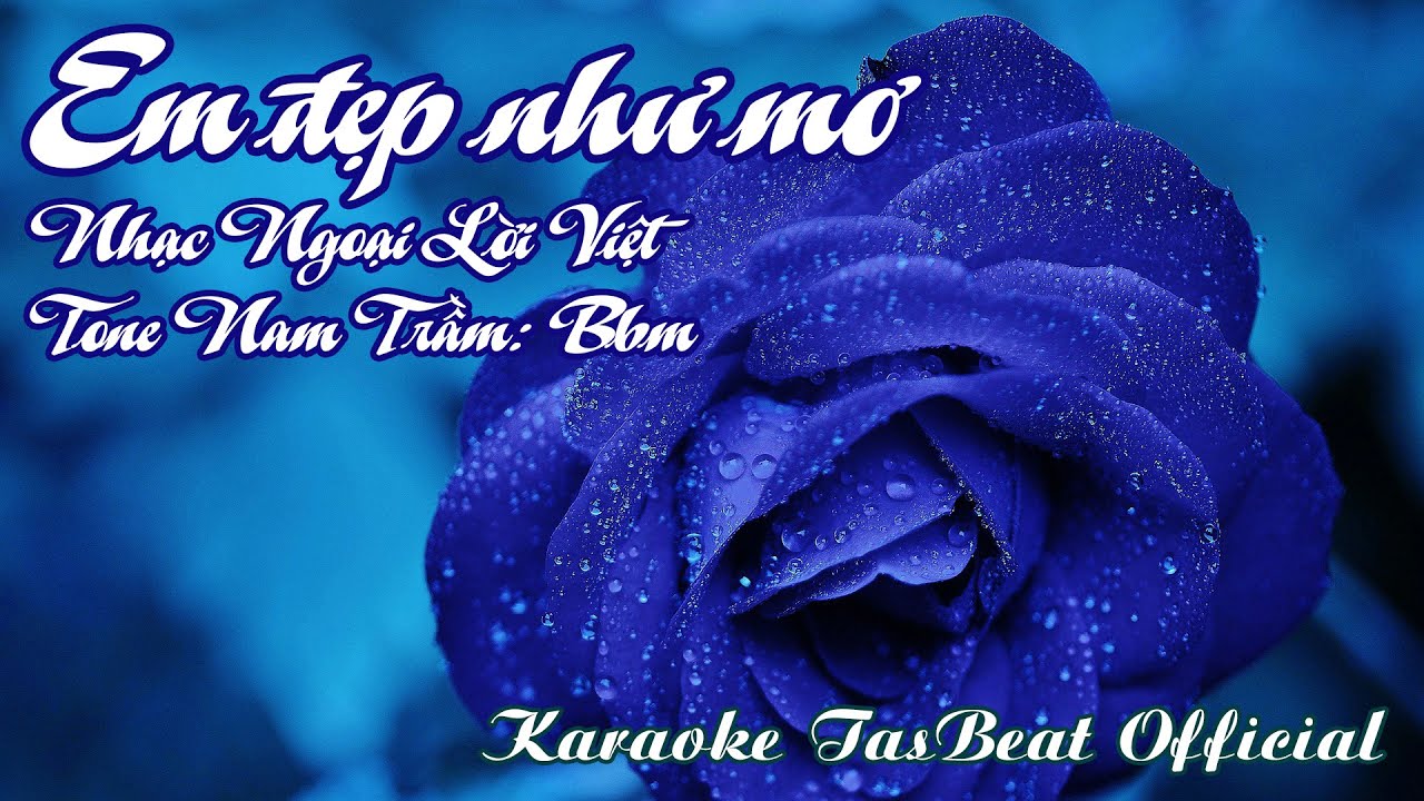Karaoke Em Đẹp Như Mơ Tone Nam Trầm | TAS BEAT